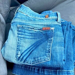 7 for all mankind 31/34
